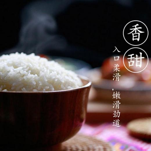 襄阳翘谷龙王御品 有机香丝米5kg/袋 商品图2