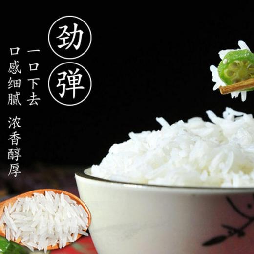 襄阳翘谷龙王御品 有机香丝米5kg/袋 商品图3