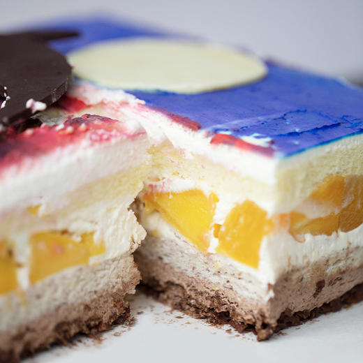 君爱公益“雀亦锵锵” X EVERNAKED「海豚戏水」芒桃椰椰蛋糕｜愿星星的孩子们不再孤独，整个宇宙都是他们的海洋！ 商品图4