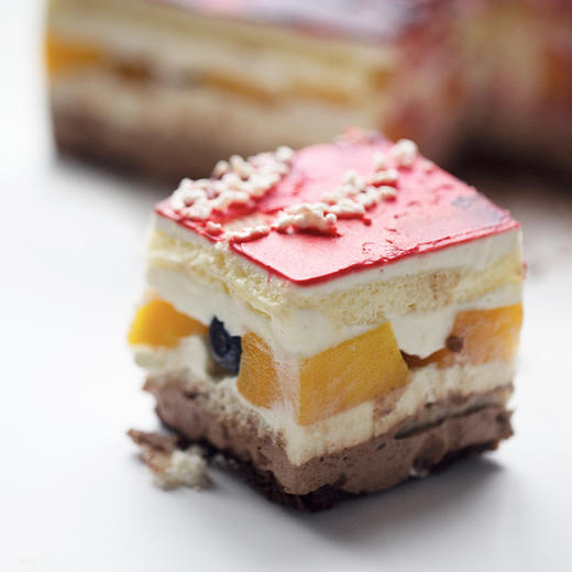 君爱公益“雀亦锵锵” X EVERNAKED「海豚戏水」芒桃椰椰蛋糕｜愿星星的孩子们不再孤独，整个宇宙都是他们的海洋！ 商品图5