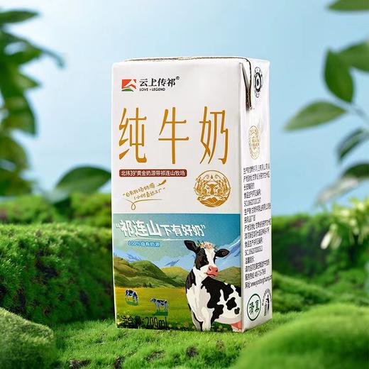 【有效期至2026年3月】云上传祁纯牛奶小飞天祁连山牧场 生牛乳3.5优质蛋白纯牛奶 200mlX10盒 商品图1