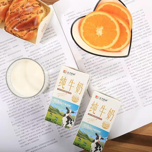 【有效期至2026年3月】云上传祁纯牛奶小飞天祁连山牧场 生牛乳3.5优质蛋白纯牛奶 200mlX10盒 商品图2