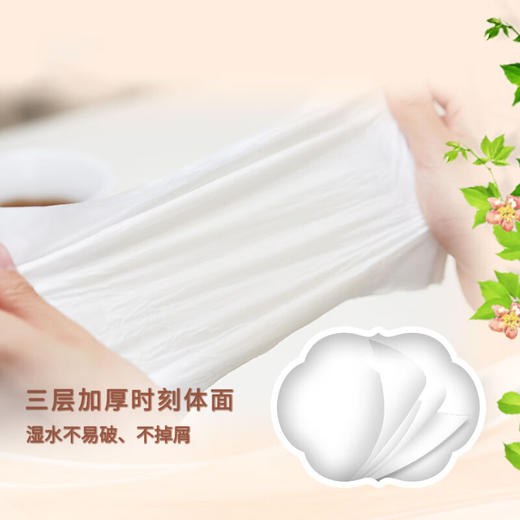 清风欧院纯品抽纸3层100抽24包整箱装BR82XSS 商品图3