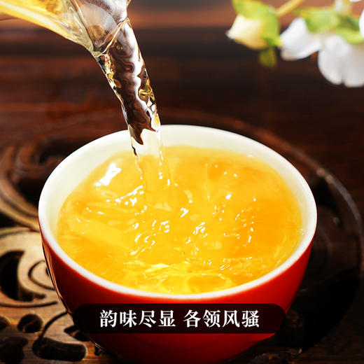 【积分兑换价：450元+500积分】【古六大茶山】古寨春联合农科院出品官方指定用茶2022年头春头采生茶一套内含6饼一次喝遍古六大茶山品味古六大茶山魅力，拍下加赠汝窑主人杯 商品图5