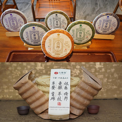 【积分兑换价：450元+500积分】【古六大茶山】古寨春联合农科院出品官方指定用茶2022年头春头采生茶一套内含6饼一次喝遍古六大茶山品味古六大茶山魅力，拍下加赠汝窑主人杯 商品图0