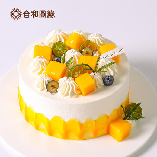 金吉拉 商品图2