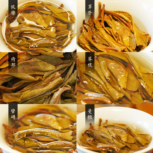 【积分兑换价：450元+500积分】【古六大茶山】古寨春联合农科院出品官方指定用茶2022年头春头采生茶一套内含6饼一次喝遍古六大茶山品味古六大茶山魅力，拍下加赠汝窑主人杯 商品图4