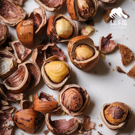 野生榛子 | 合作生产*Wild hazelnut | Coproduction 商品图2