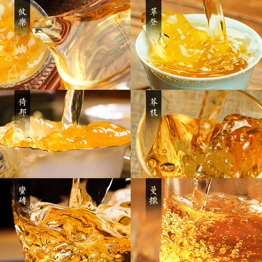 【积分兑换价：450元+500积分】【古六大茶山】古寨春联合农科院出品官方指定用茶2022年头春头采生茶一套内含6饼一次喝遍古六大茶山品味古六大茶山魅力，拍下加赠汝窑主人杯 商品图3