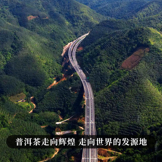 【积分兑换价：450元+500积分】【古六大茶山】古寨春联合农科院出品官方指定用茶2022年头春头采生茶一套内含6饼一次喝遍古六大茶山品味古六大茶山魅力，拍下加赠汝窑主人杯 商品图1