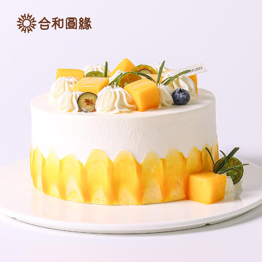 金吉拉 商品图3