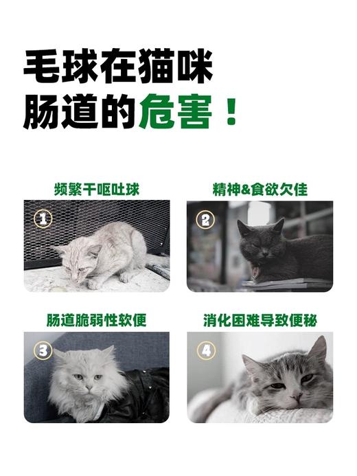 【上新福利】我自有山海乳鸽排毛棒40g*包 买4包超值！！ 商品图2