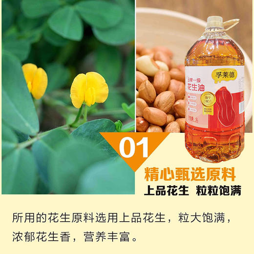 孚莱德压榨一级花生油5L 商品图3