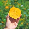 【云南蒙自糖心脆柿】顺丰到家 自然脱涩 脆甜爽口 好吃不腻 饱满厚实 果形端正 现摘现发 3种规格任选 商品缩略图1