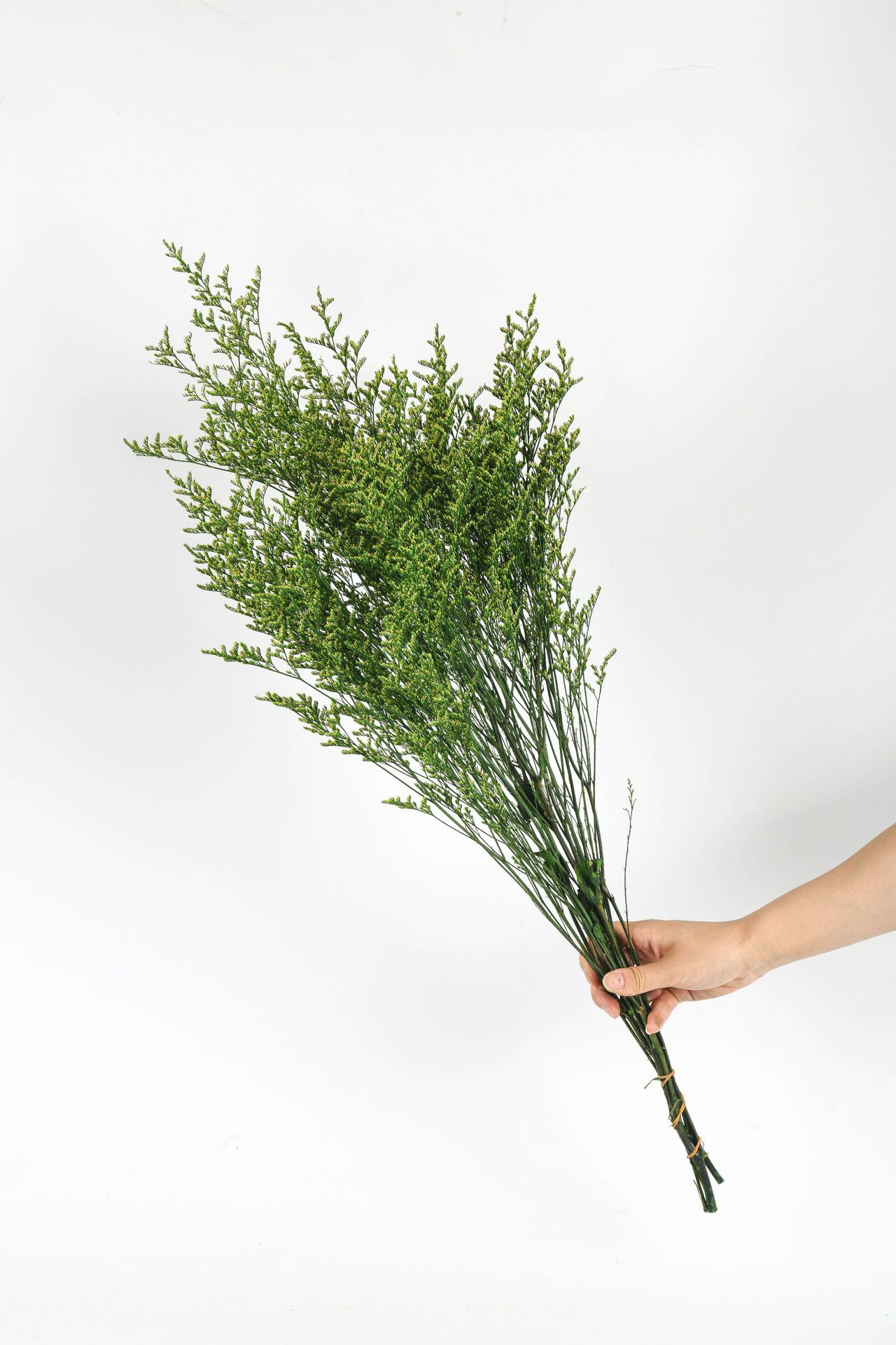 杜氏永生花 永生花情人草手工diy真花家居装饰干花束跳舞草叶材婚庆