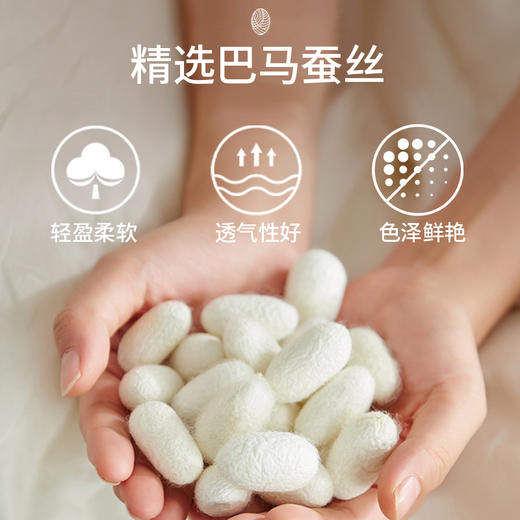 【会呼吸的蚕丝被】睡一次爱上一辈子，蓬松厚实四季好被！（2/12-2/22停发） 商品图4