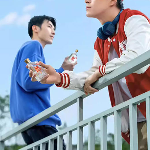 【浓酱兼香型】郎酒小郎酒100ml 45度 商品图4