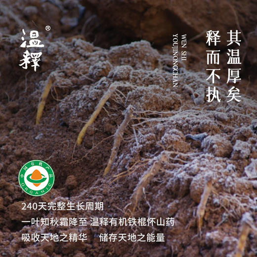 温释有机铁棍山药净重4斤/箱 商品图7
