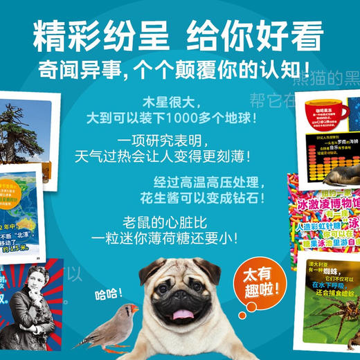 美国国家地理·世界真奇妙全3辑6岁以上科普读物 商品图1