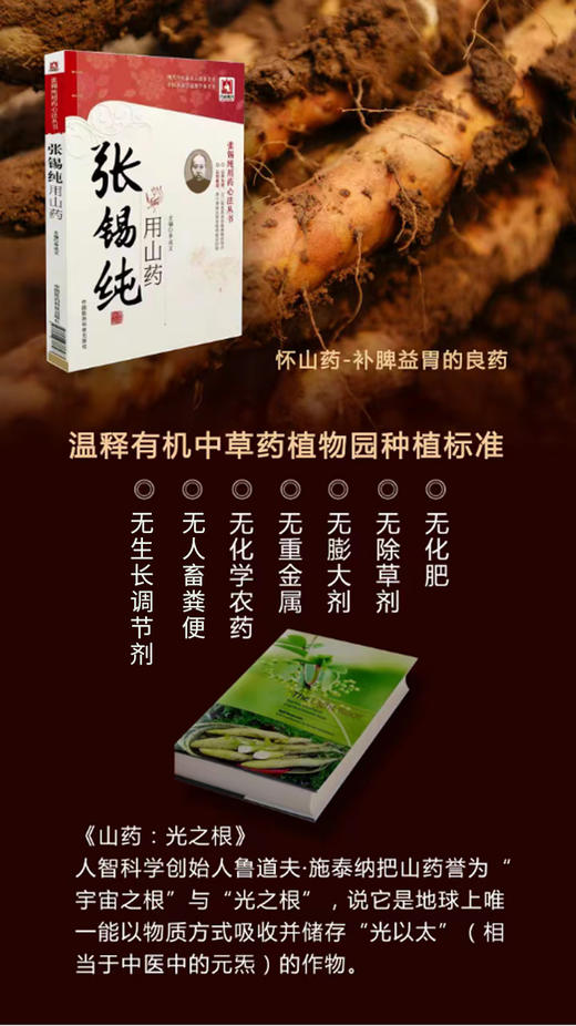 温释有机铁棍山药净重4斤/箱 商品图0