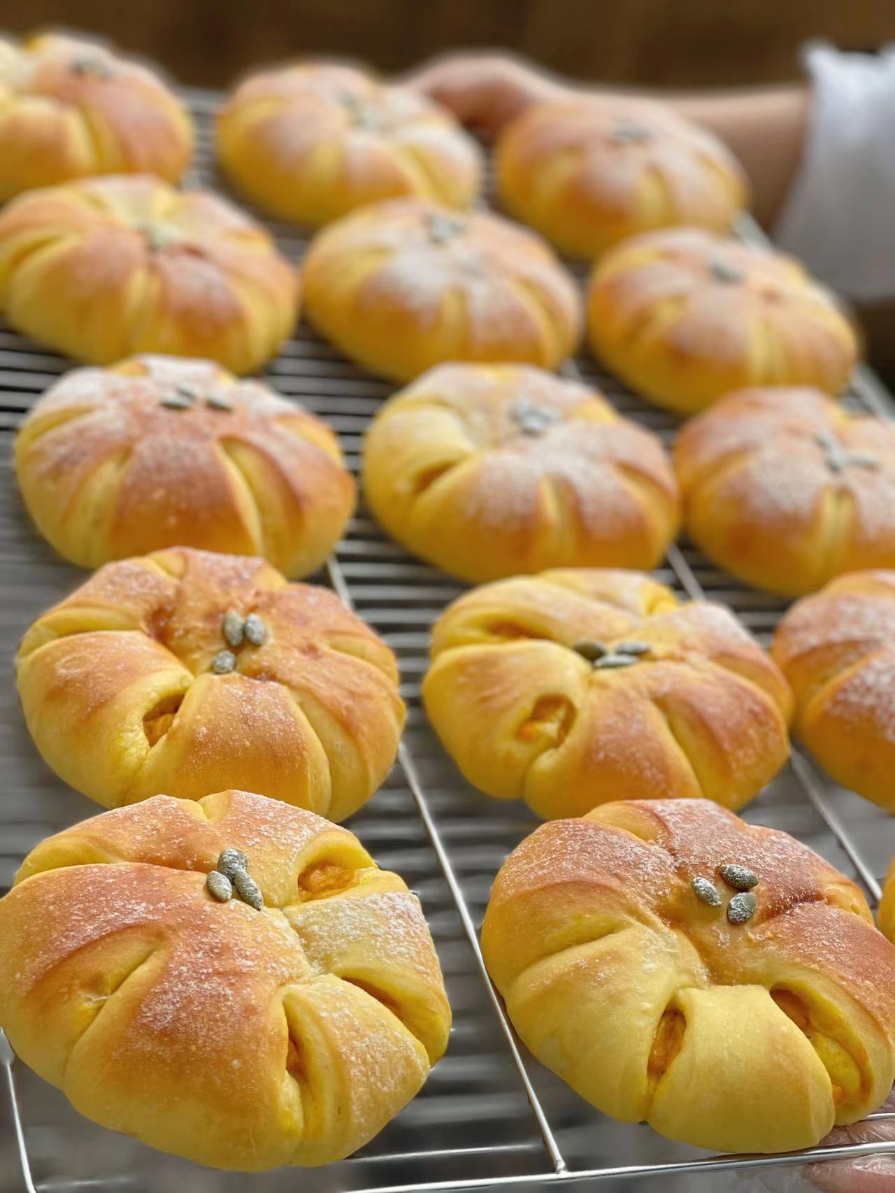 低糖南瓜包（中午12点出货）