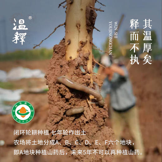 温释有机铁棍山药净重4斤/箱 商品图6