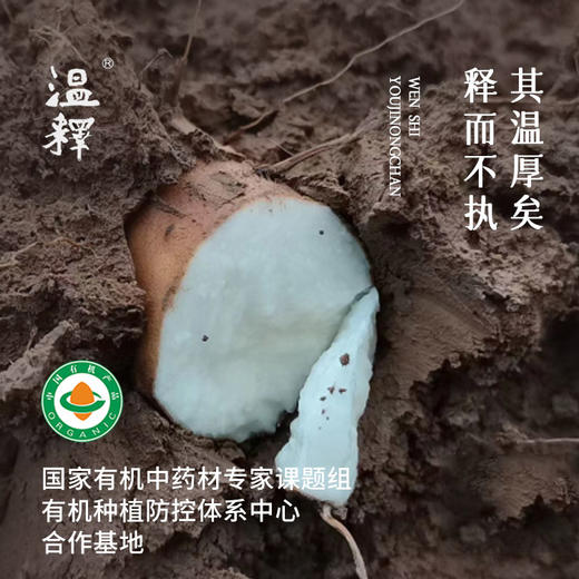 温释有机铁棍山药净重4斤/箱 商品图1