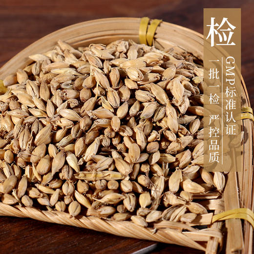 麦芽 药食同源康美中药饮片 独立小包装 商品图2