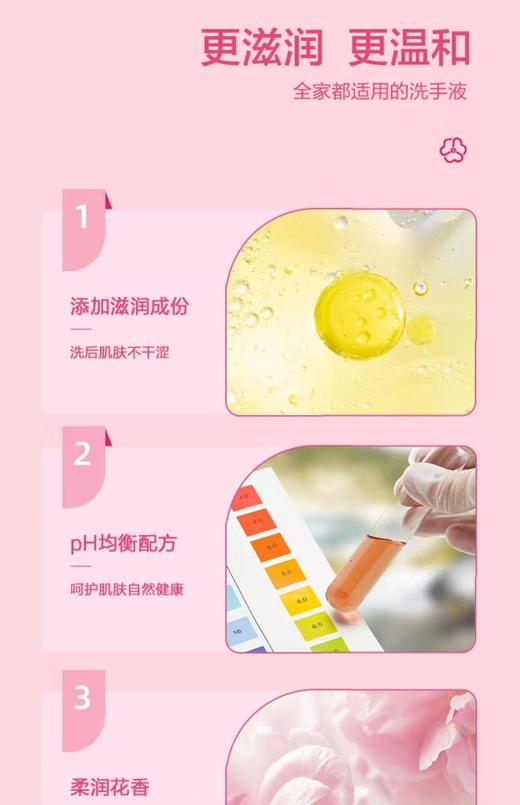 【门店直发】滴露抑菌洗手液450g 商品图2