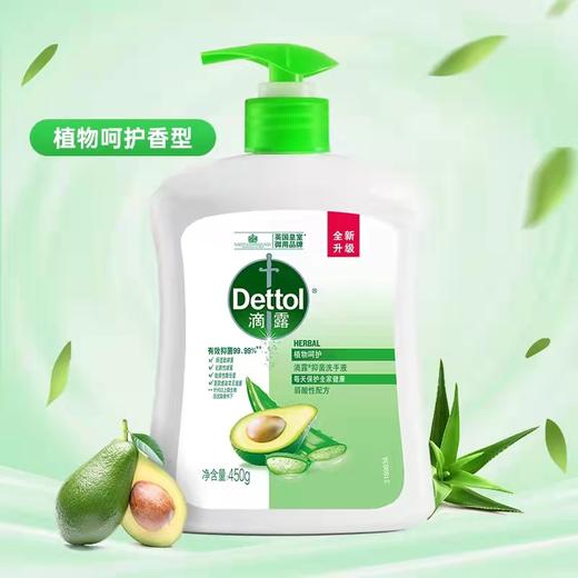 【门店直发】滴露抑菌洗手液450g 商品图4