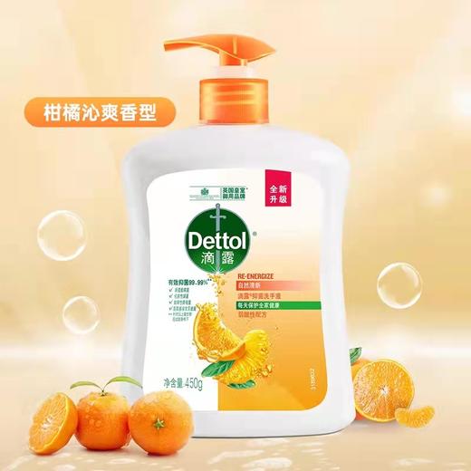 【门店直发】滴露抑菌洗手液450g 商品图3