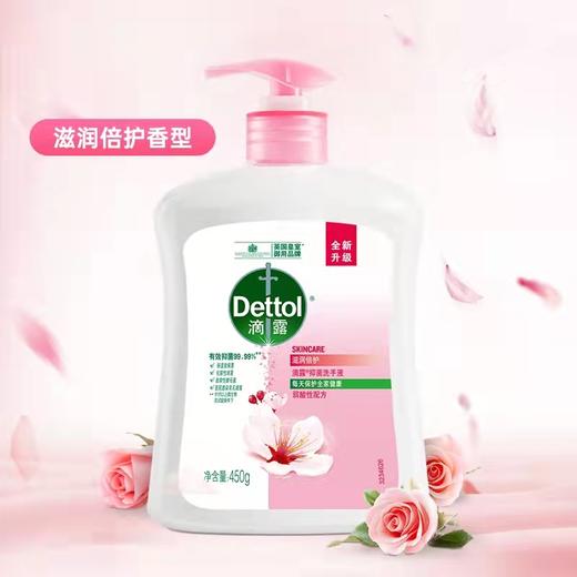 【门店直发】滴露抑菌洗手液450g 商品图5