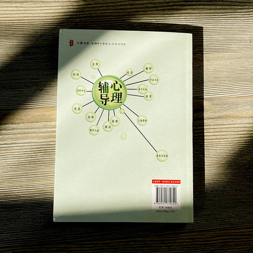 班主任心理辅导实务 小学版 大夏书系 吴增强 商品图3