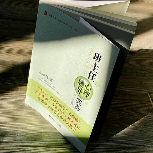 班主任心理辅导实务 小学版 大夏书系 吴增强 商品图5