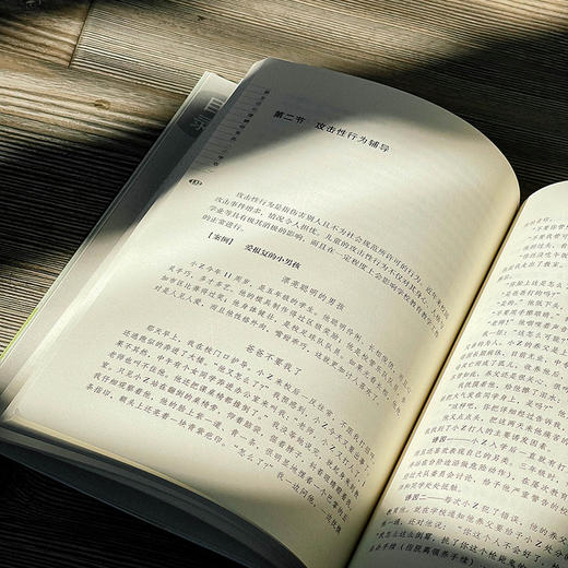 班主任心理辅导实务 小学版 大夏书系 吴增强 商品图12