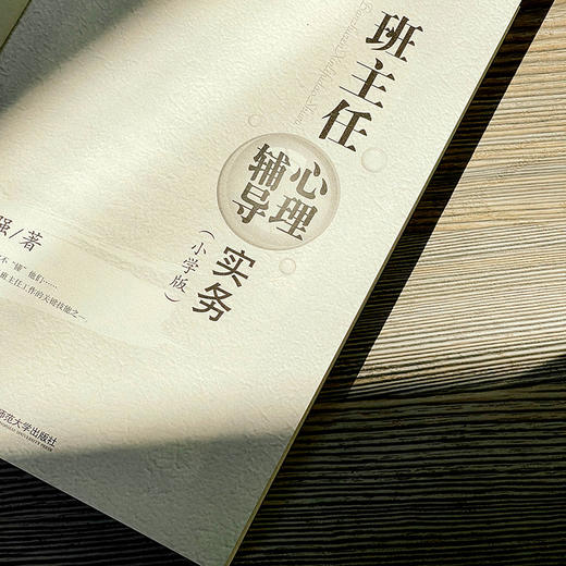 班主任心理辅导实务 小学版 大夏书系 吴增强 商品图8