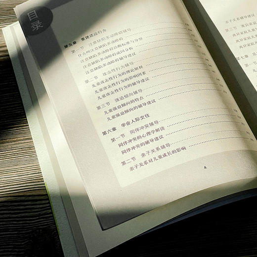 班主任心理辅导实务 小学版 大夏书系 吴增强 商品图10