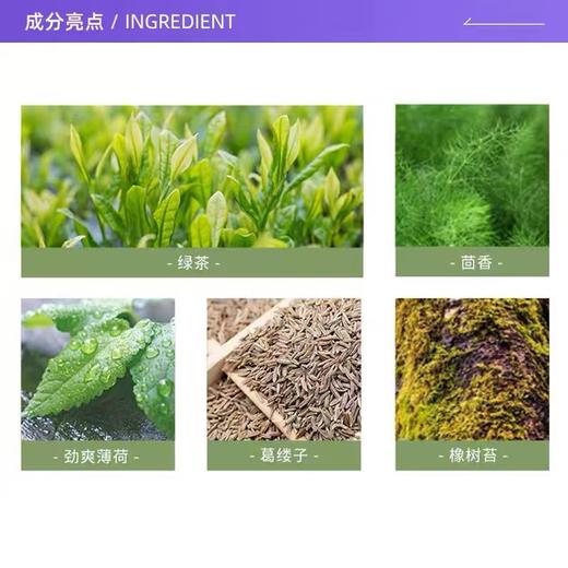 雅顿绿茶沐浴露500Ml 商品图6