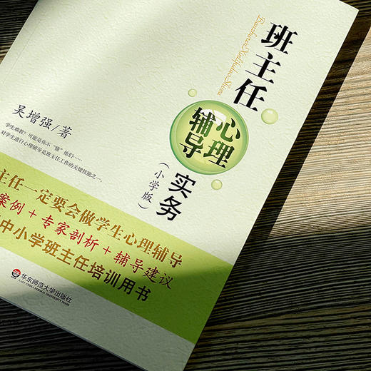 班主任心理辅导实务 小学版 大夏书系 吴增强 商品图4