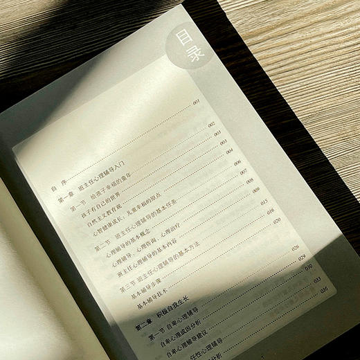 班主任心理辅导实务 小学版 大夏书系 吴增强 商品图9