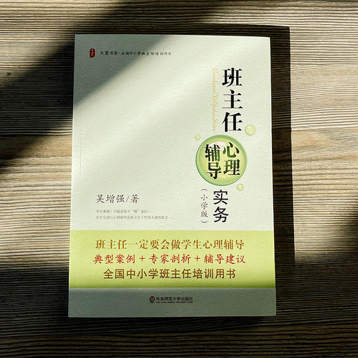 班主任心理辅导实务 小学版 大夏书系 吴增强 商品图2