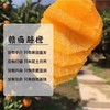 江西赣南脐橙中果（2斤起售） 商品缩略图2