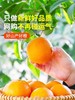 江西赣南脐橙中果（2斤起售） 商品缩略图3