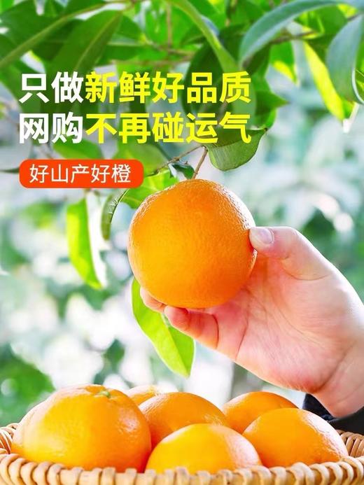 江西赣南脐橙中果（2斤起售） 商品图3