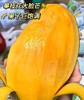 【19.9元/5斤】3.98每斤  凯特芒果大果 商品缩略图2