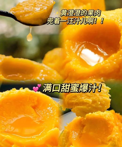 【19.9元/5斤】3.98每斤  凯特芒果大果 商品图4