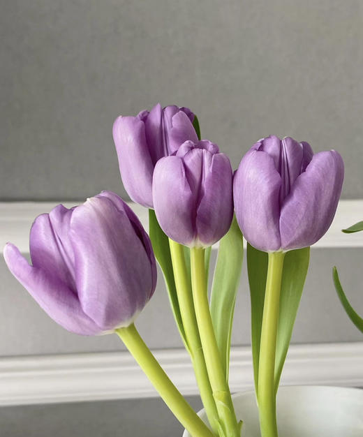 【国产郁金香】  紫色  约9-10枝/扎 商品图2