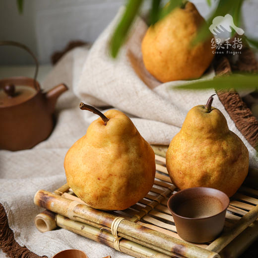 生态丑梨&佛手梨（买一赠一） | 合作生产 * Ecological Ugly Pear | Partner Production 商品图2