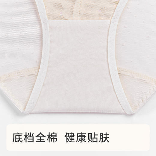 [贝壳杯内裤]性感拼接网纱易干亲肤透气纯棉里裆女士内裤 商品图3