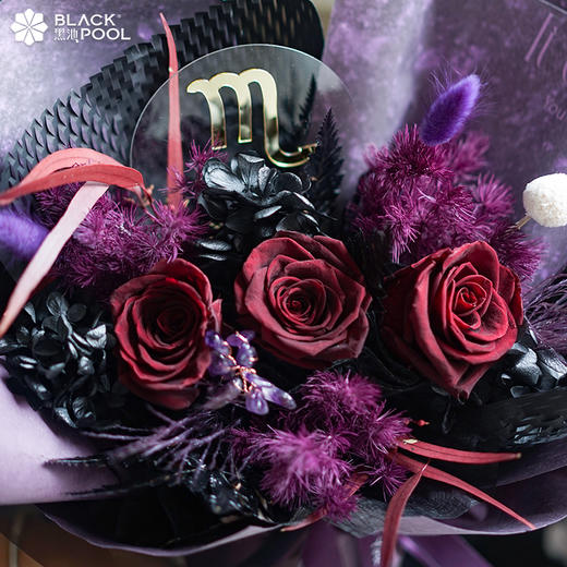 （限龙华龙岗光明配送）永生守护花，被火星和冥王星守护的命运，淬炼出强大灵魂【限深圳配送】（天蝎） 商品图2